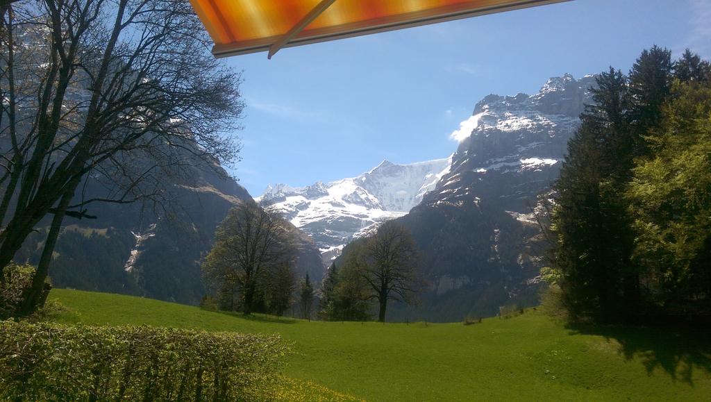 Mom - Alpine Boutique Apartments, Grindelwald Gletscher, Eiger View Terrace Studio Szoba fotó