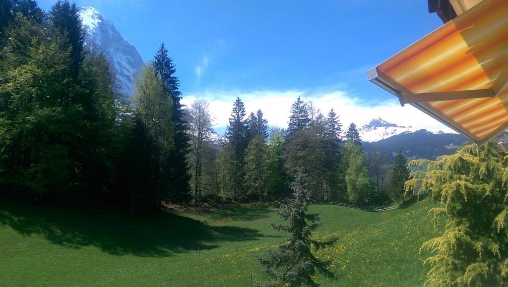 Mom - Alpine Boutique Apartments, Grindelwald Gletscher, Eiger View Terrace Studio Szoba fotó