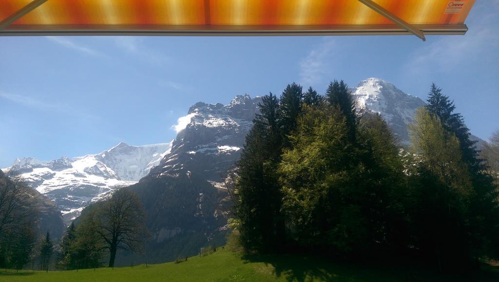 Mom - Alpine Boutique Apartments, Grindelwald Gletscher, Eiger View Terrace Studio Szoba fotó