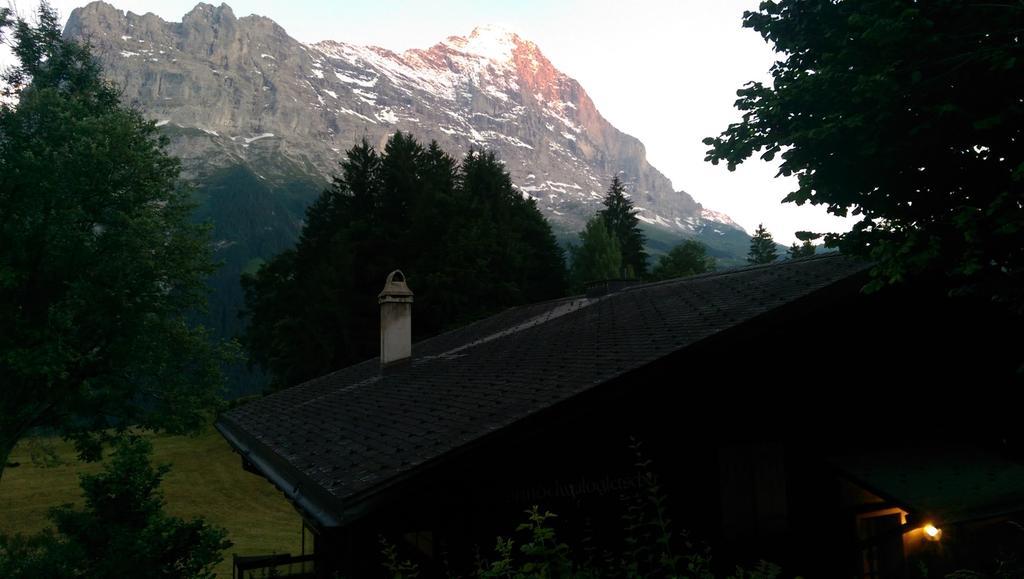 Mom - Alpine Boutique Apartments, Grindelwald Gletscher, Eiger View Terrace Studio Szoba fotó