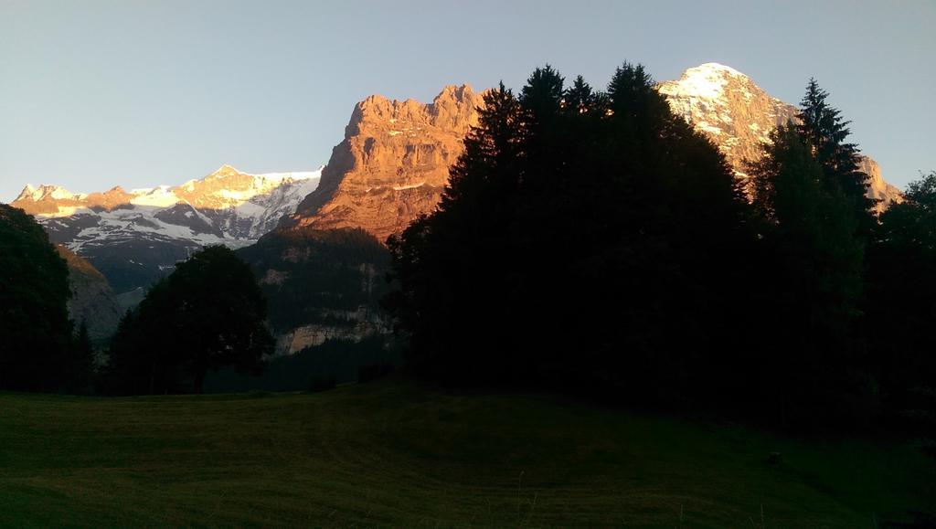 Mom - Alpine Boutique Apartments, Grindelwald Gletscher, Eiger View Terrace Studio Szoba fotó