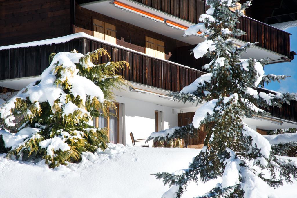 Mom - Alpine Boutique Apartments, Grindelwald Gletscher, Eiger View Terrace Studio Szoba fotó