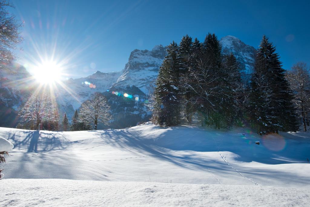 Mom - Alpine Boutique Apartments, Grindelwald Gletscher, Eiger View Terrace Studio Szoba fotó